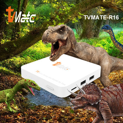Android Hdmi 2.0 Ott Tv Box 2 8 Gb Uzaktan Kumanda