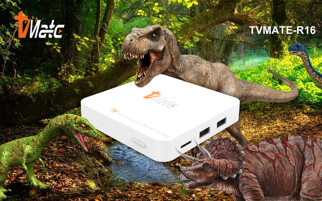 OTT Android TV Kutusu Rockchip 322X Dört Çekirdekli Cortex-A7 1,5 GHz'e Kadar Akıllı TV Kutusu Android